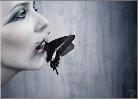 Venom - white, beauty, death, butterfly, dark, venom, gothic, black