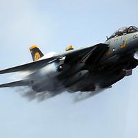 F-14 Tomcat "Machin' You."