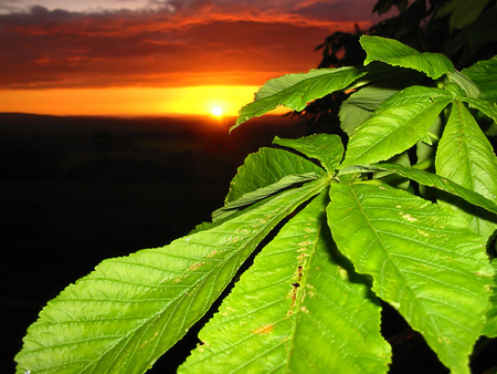 Sunset - dark, nature, sunset