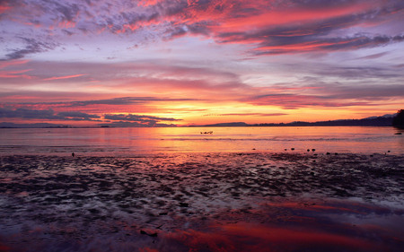 beach at sunset - sunset, ocean, nature, beach