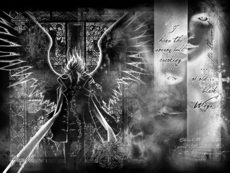 Trinity Blood - vampire, wings, trinity blood, black and white, dark