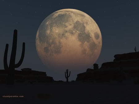 Desert moon