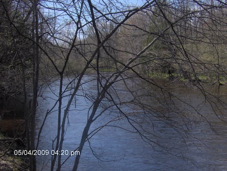 Pine River - pine river, river, michigan, vestaburg, mi, rivers, vestaburg mi