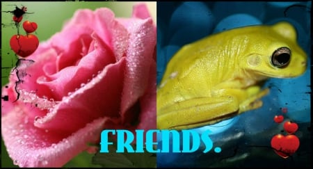 FOR DEAR GAYATRI. ''GAYATRI23119'' - ROSE, FRIENDS, COLLAGE, FROG