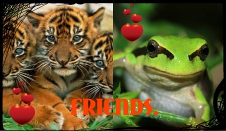 FOR DEAR RAMYA. ''RAMYADEVIMS'' - frog, collage, tigers, friends