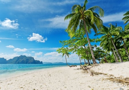 Tropical Paradise - beaches, palm trees, beach, sky, paradise, palms, summer, tropical, wallpaper, coast, nature, oceans, splendor, sea, sand, new