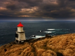 red roofed beacon on a grassy coast