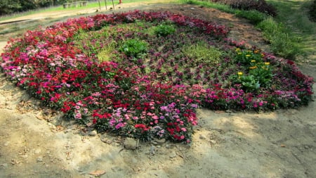 Flower bed - flowers, pretty, flower bed, colorful