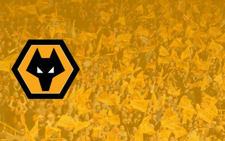 Support Wolves - wolverhampton wanderers, wwfc, wolverhampton, support, wolves, england, football, fc, fans, wanderers, screensaver, soccer, wallpaper