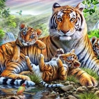 Mother Tiger