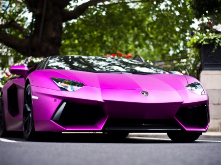 Lamborghini - road, car, purple, lambo