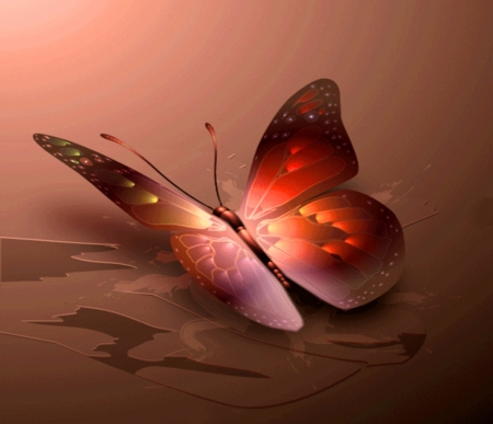 Gold butterfly - image, expression, color, new, wallpaper