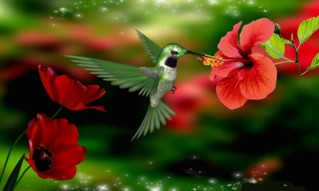 Hummingbird - wallpaper, spring, winged, pretty, hummingbird, beautiful, colors, flowers, little