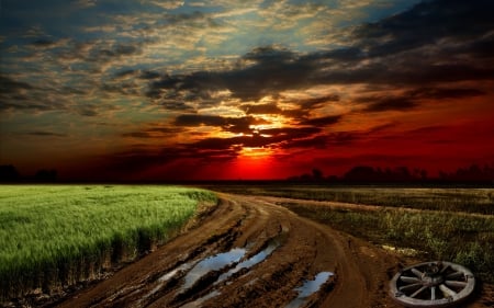 Sunset - road, sunset, cereals, near