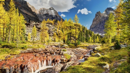 fantastic rocky valley stream in spring - valley, trees, stream, mountains, spring, rocks