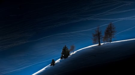 unbelievable shadows and light on a mountain ridge - sunlight, shadows, trees, ridge, mountain