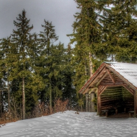 wonderful little log shed in forest in winter