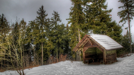 wonderful little log shed in forest in winter - forest, winter, shed, logs