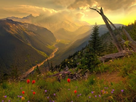 valley 7889 - peak, valleys, road, mount, flowers