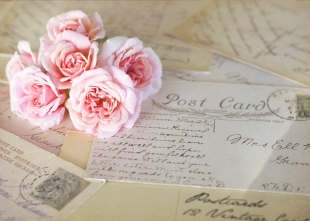 With Love - pink roses, nature, roses, flowers, letters, rose, post card