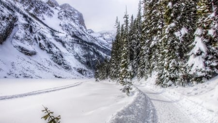 winter trail in the valley - trail, winter, forest, mountains, valley