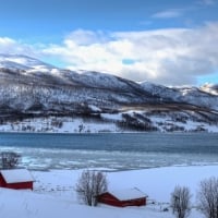 red cabins on a norwegian bay shore in winter