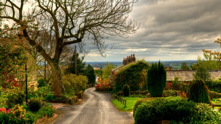 lovely road through quaint english village - village, tree, gardens, road