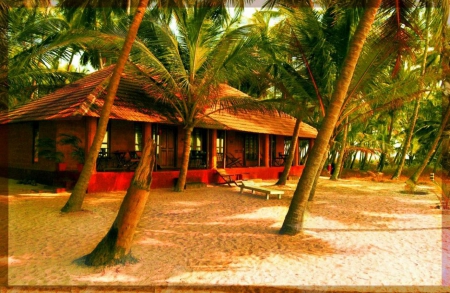 Beach Cottage - palms, summer, shadows, india, sun