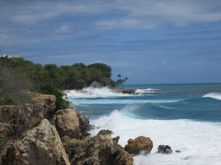 Watch Waves Roll N - waves, trees, rocks, look