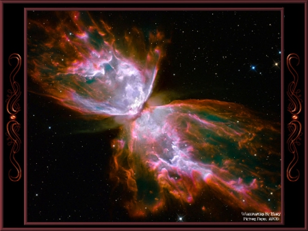 Butterfly Nebula 1600x1200 - stars, butterfly, nebulae, nebula, butterflynebula, space