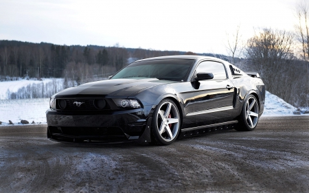 Mustang - ford, mustang, black, custom wheels