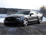 Mustang