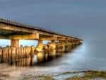 pier into a misty sea