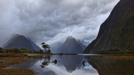 magnificent piopiotahi fjord in new zealand - trees, clouds, fog, mountains, fjors