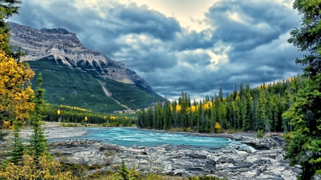 athabasca river jasper national park canada - forest, mountain, clouds, river, rocks