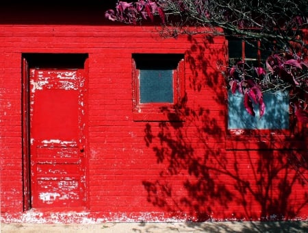 red brick house - summer, brick, house, red