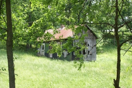 Abandoned House Through Trees - Nature, Scenery, Outdoors, Abandoned, Architecture, House