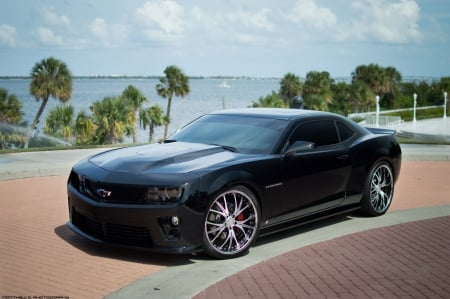 Camaro SS - zl1, chevrolet, ss, camaro