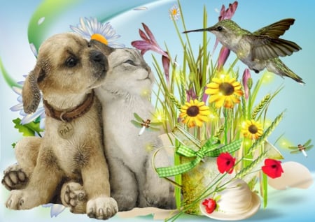 Friends - bird, dog, friends, flower, cat