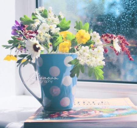 Summer - flowers, vase, summer, nature