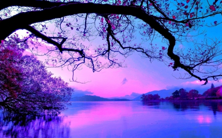 Colorful Lake - colorful, nice, lake, nature