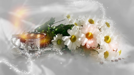 Dayses In Stile - white, flowers, romantic, dayses