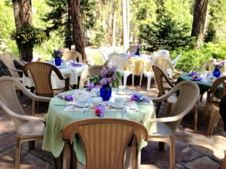 garden tea time with lilacs - lilacs, tea time, garden, photography