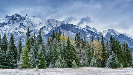 fantastic mountain landscape - winter, mountains, forest, clouds