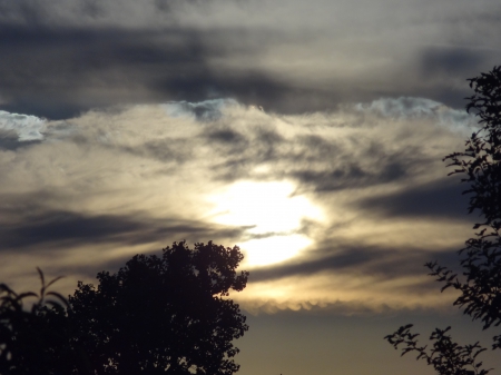 Through the Trees - sky, trees, sun, clouds