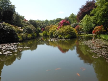 Stately Home and gardens - flowers, trees, water, lake, bushers, home