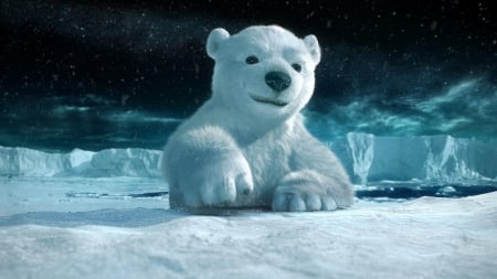 cool bear - ice, cub, bear, snow