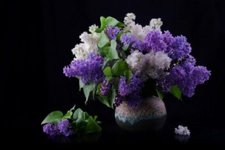 â™¥ Splendour â™¥ - flowers, still life, splendour, lilacs