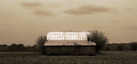 golden barn - farm, wheat, barn, rural