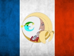 FRENCH BananaMoon Flag